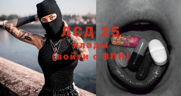 стафф Баксан