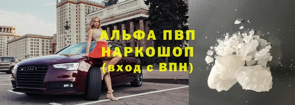 стафф Баксан