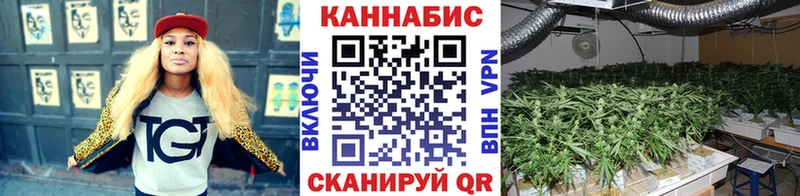 даркнет телеграм  Севск  Каннабис OG Kush  магазин продажи  